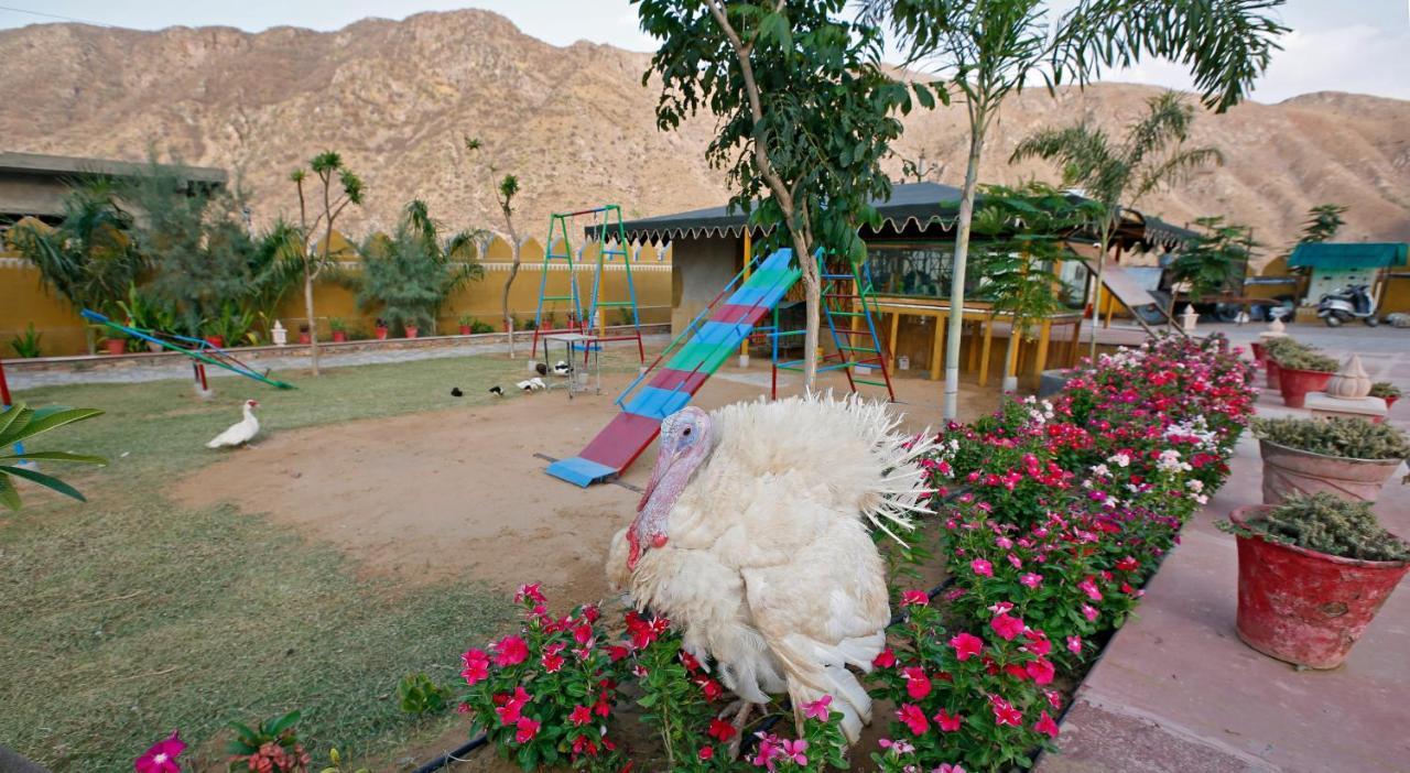 Serene Aravali Resort, Pushkar Luaran gambar